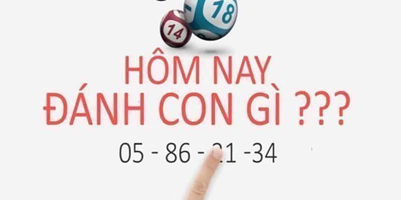 Con số may mắn lô đề hôm nay