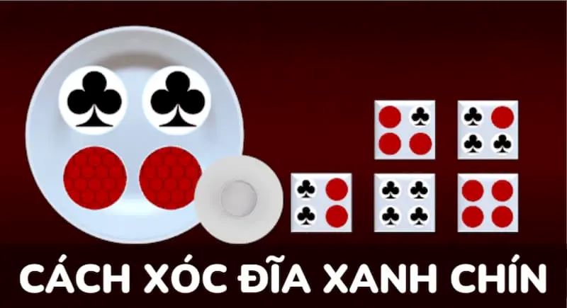 Xóc đĩa xanh chín là gì?