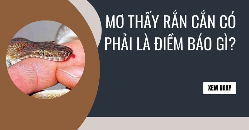 Nằm mơ thấy rắn là điềm báo gì?